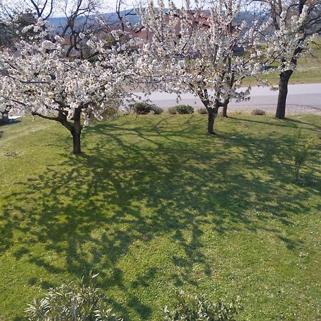 Daal Appartement Roč Buitenkant foto
