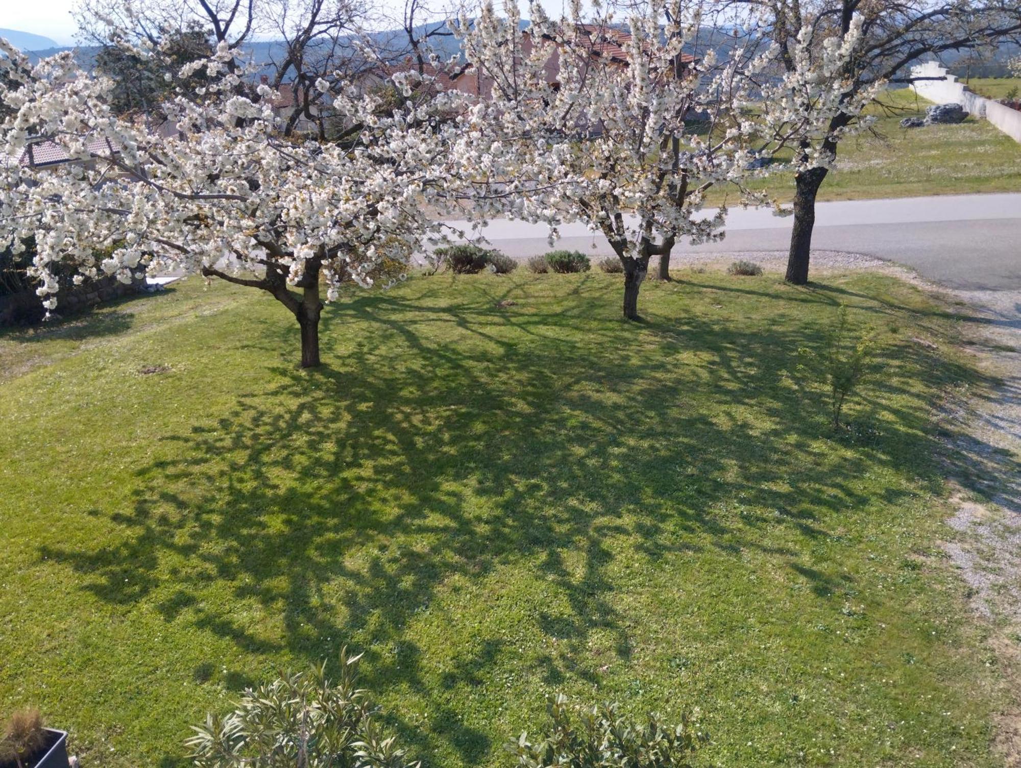 Daal Appartement Roč Buitenkant foto