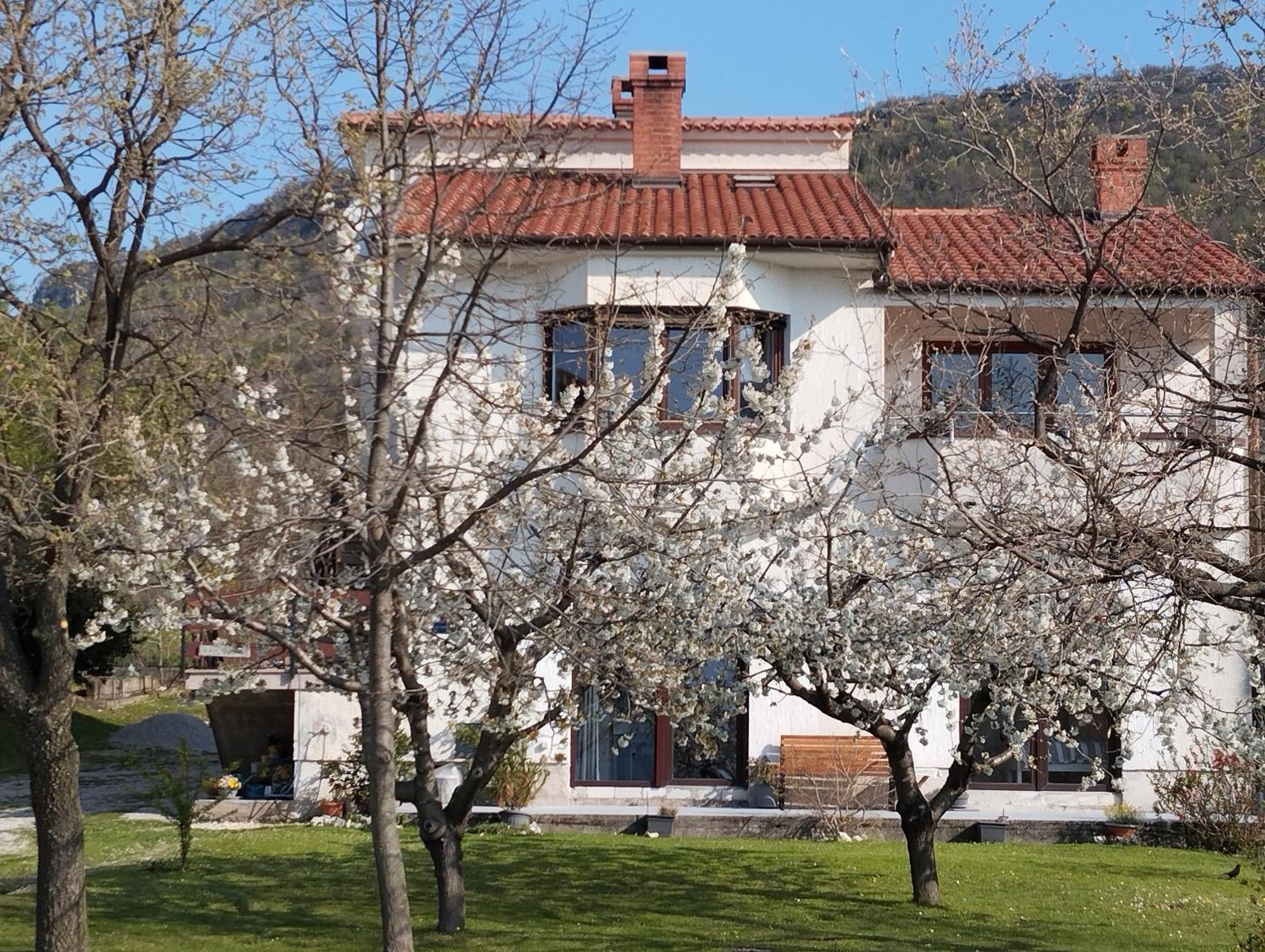 Daal Appartement Roč Buitenkant foto